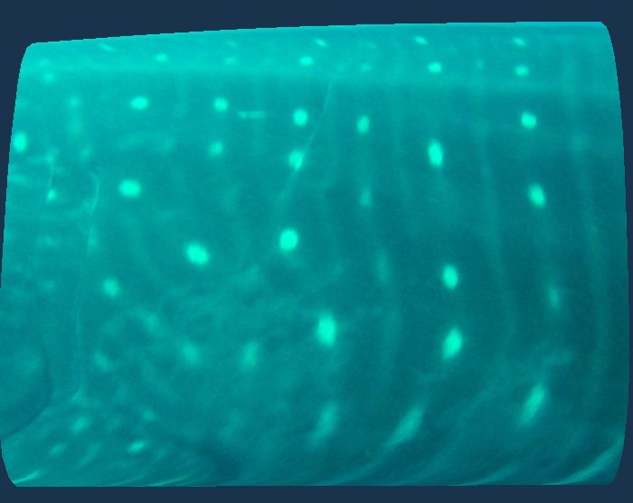 2e62cc5d-895e-45d6-ae9e-db76b39bd01b