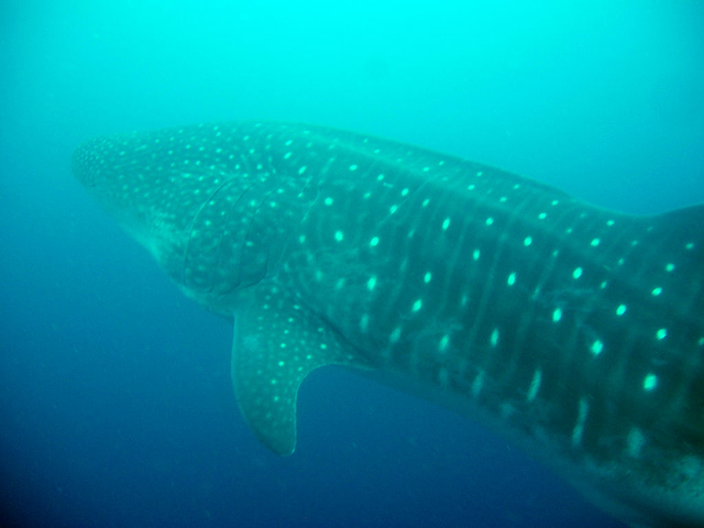 2e62cc5d-895e-45d6-ae9e-db76b39bd01b