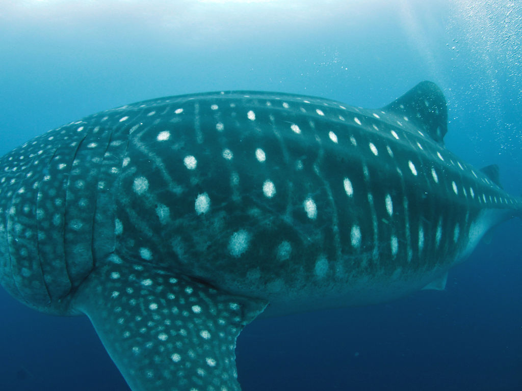 3e76288d-ef7a-4ca4-bb79-5749623d3e04