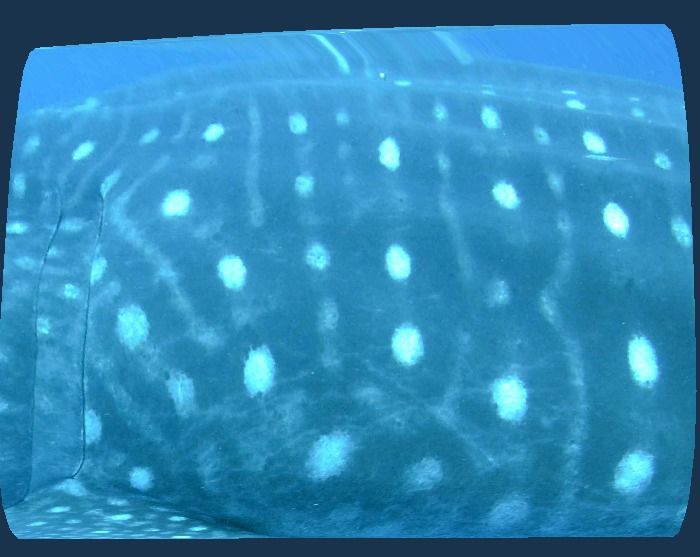 3e76288d-ef7a-4ca4-bb79-5749623d3e04