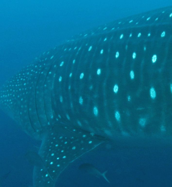 cfda4dc5-d91d-4df4-969e-826d89f5dcab