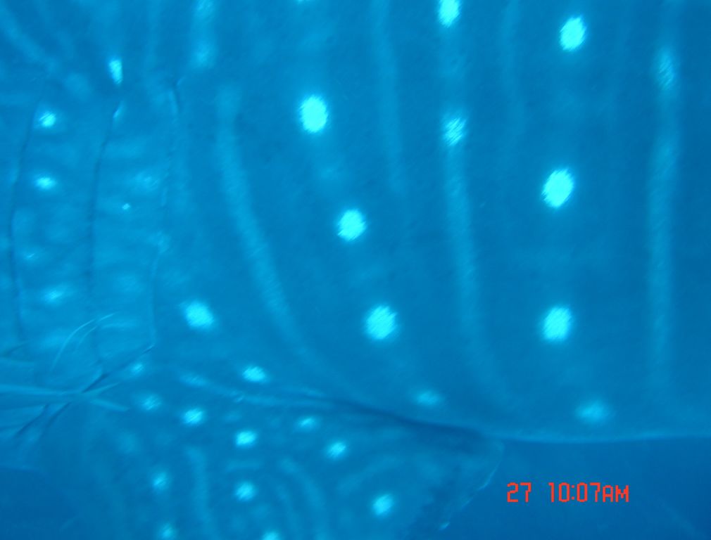 ea094870-dfb0-4b7e-9379-3f09036df7c0