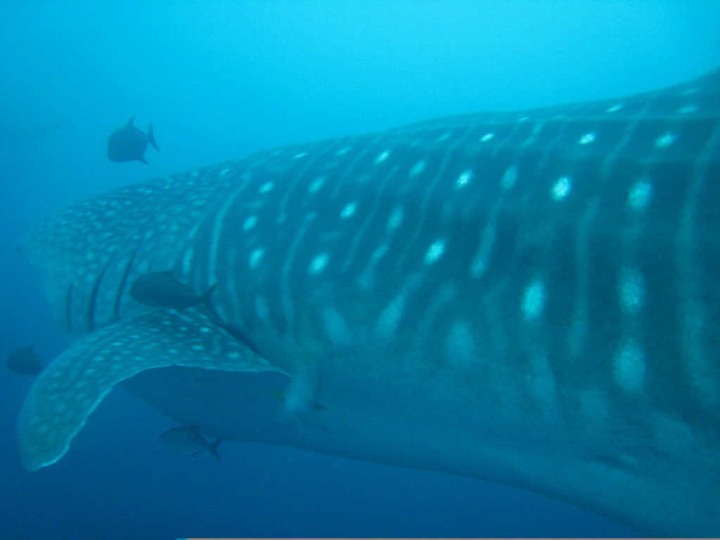 f4cd8239-4041-428f-9b4b-60db7c8ae4b7