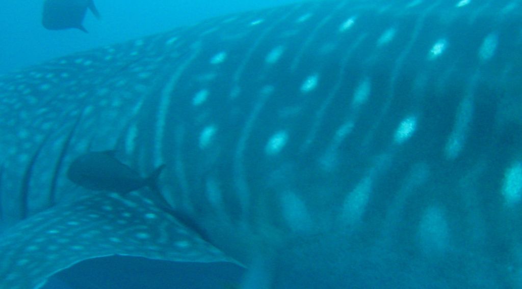 f4cd8239-4041-428f-9b4b-60db7c8ae4b7