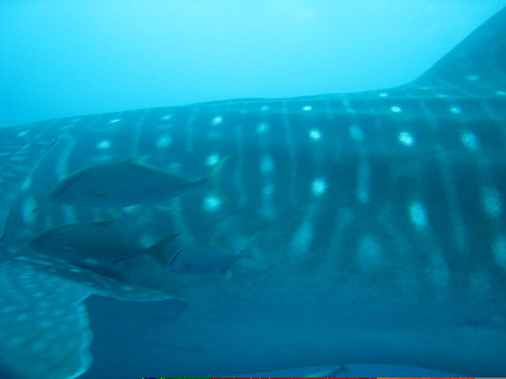 f4cd8239-4041-428f-9b4b-60db7c8ae4b7