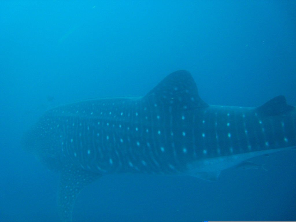 6d878527-5455-4f16-8d4f-b172b5e839d2