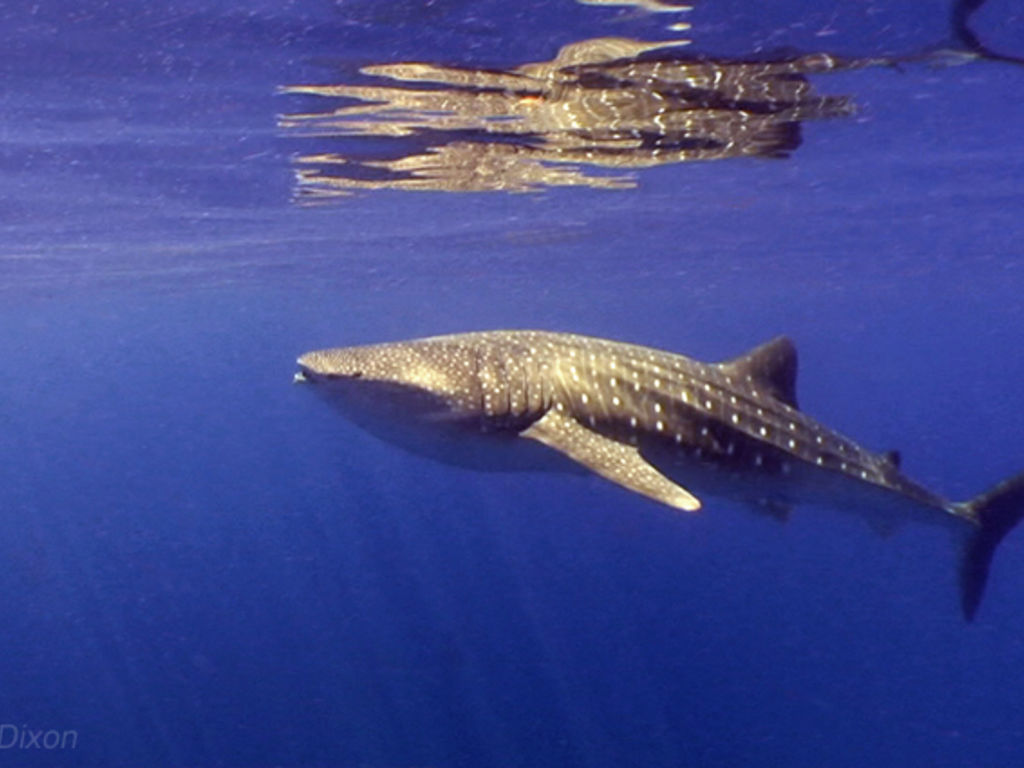 ad0433a5-16a4-4157-b81d-623c2d8550f8