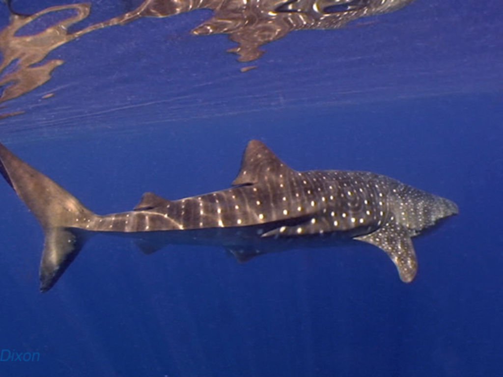 ad0433a5-16a4-4157-b81d-623c2d8550f8