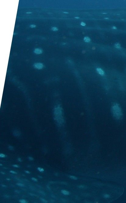 a4eafab0-dc84-441e-ad4a-80ad68a0ea96