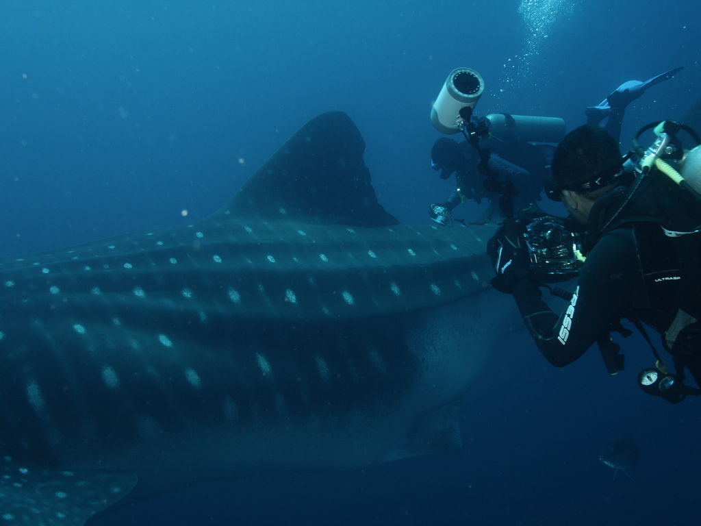 a4eafab0-dc84-441e-ad4a-80ad68a0ea96