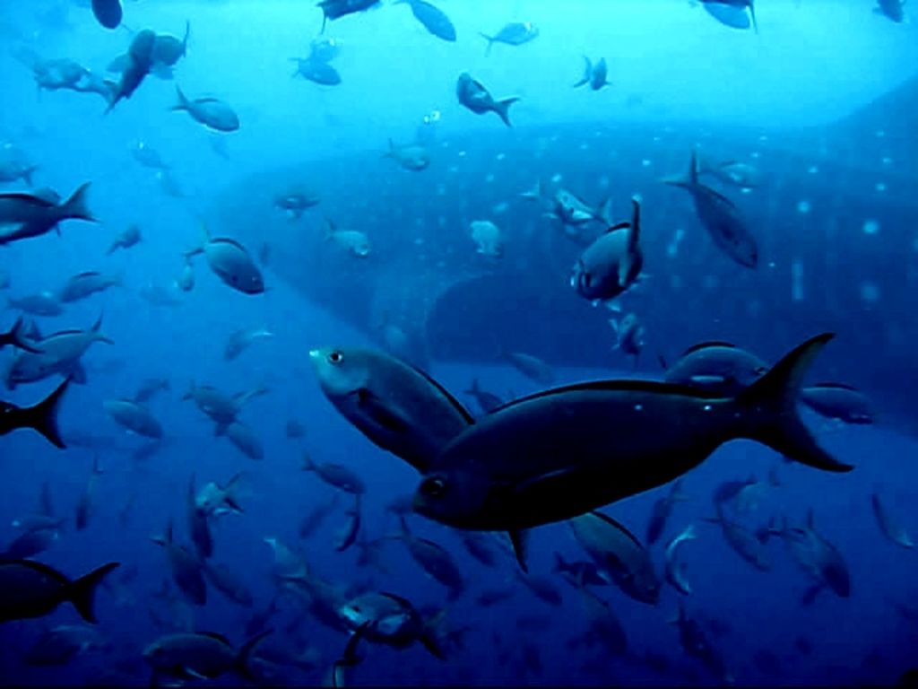 df279386-91e7-44b4-8d1d-11ae0b460818