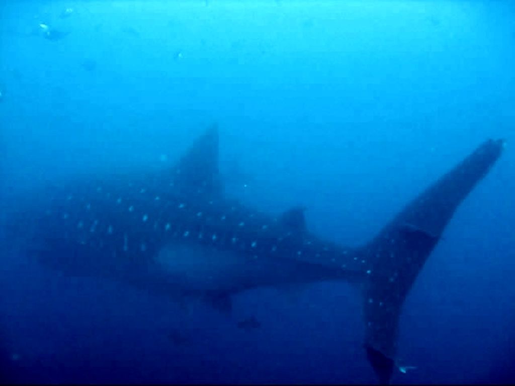 df279386-91e7-44b4-8d1d-11ae0b460818