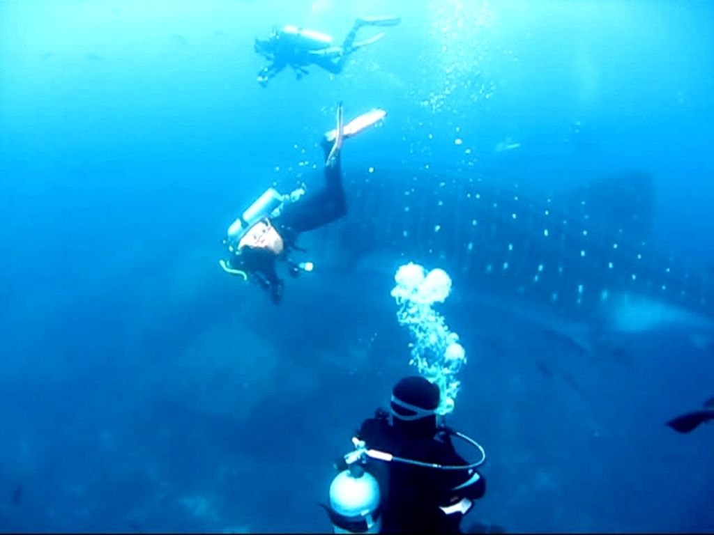 1f3da392-f901-4a96-862d-3f2b4b012a68