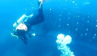 1f3da392-f901-4a96-862d-3f2b4b012a68