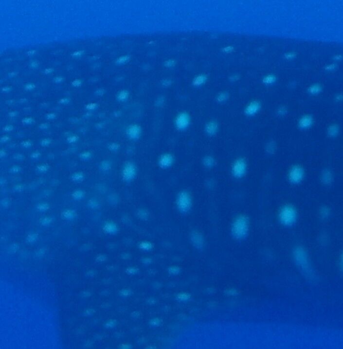 ef5750f7-8470-4396-bb6e-07ecf2b75084