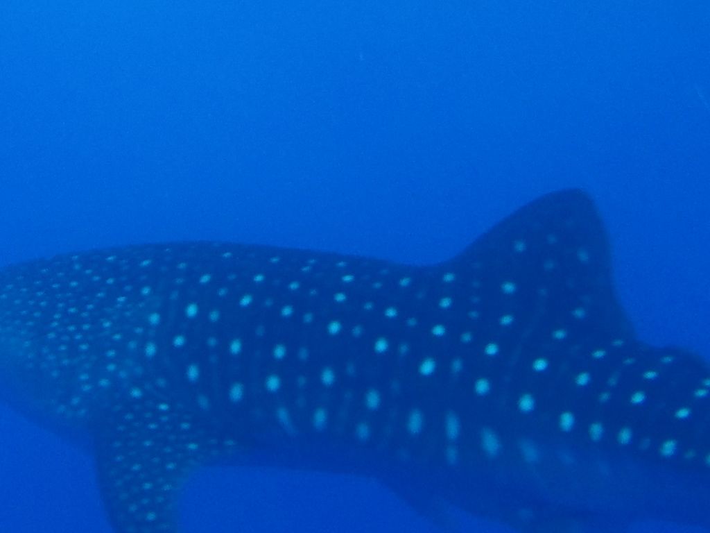 ef5750f7-8470-4396-bb6e-07ecf2b75084