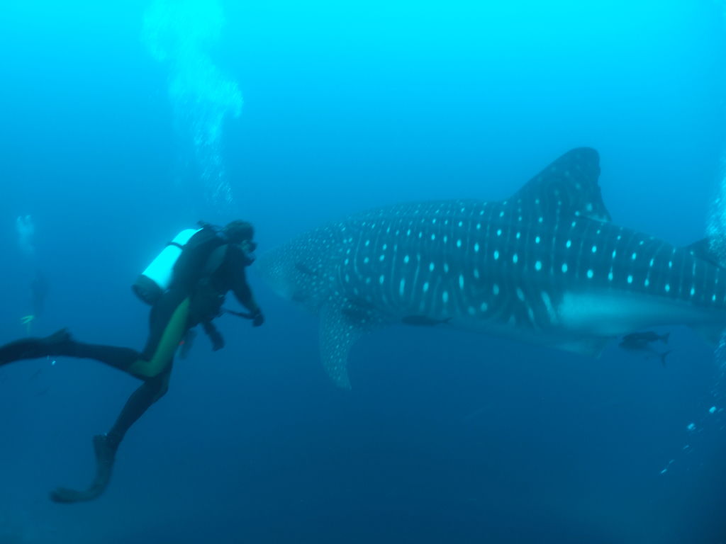 1b349c4d-892f-4c77-925d-fb31373e90b2