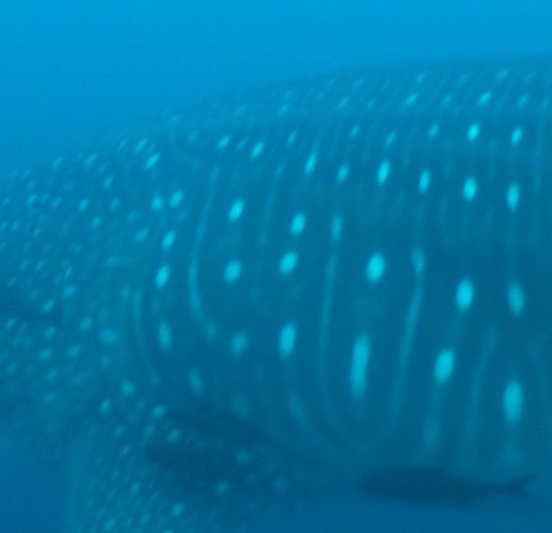 1b349c4d-892f-4c77-925d-fb31373e90b2