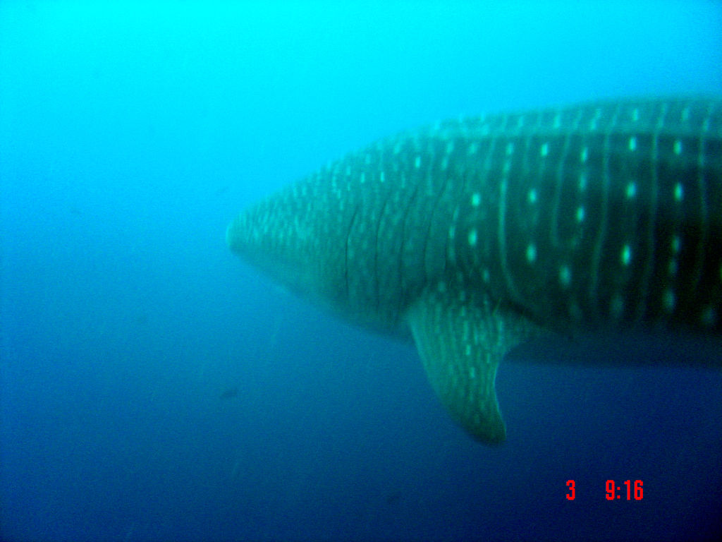 7de7545e-f673-47df-9dca-4e170fffc9e6