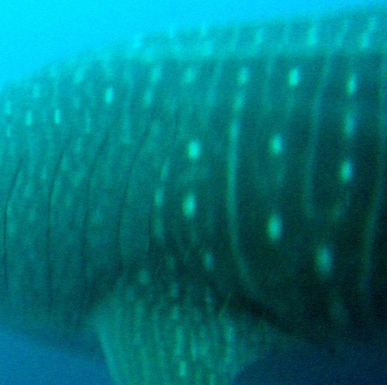 7de7545e-f673-47df-9dca-4e170fffc9e6