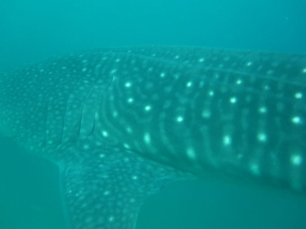 a604b679-5694-4238-97a2-e5acd217b0af