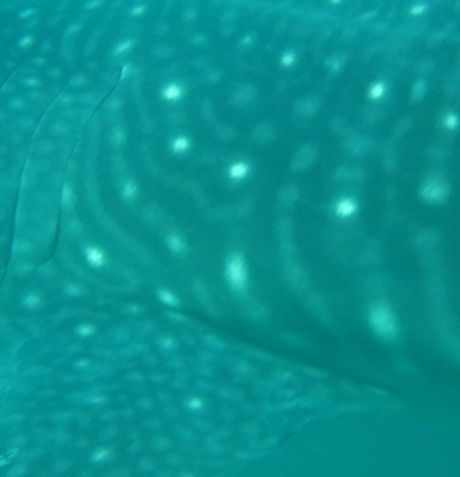 a604b679-5694-4238-97a2-e5acd217b0af