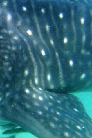 ca88d0d9-5e07-443f-a884-5f09e0e6d7fa