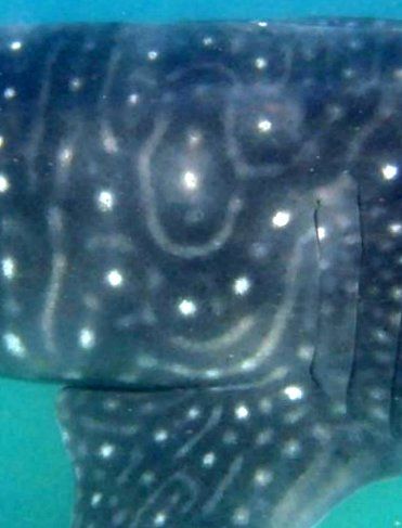 ca88d0d9-5e07-443f-a884-5f09e0e6d7fa