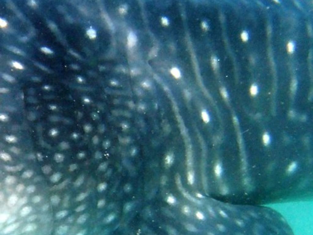 ca88d0d9-5e07-443f-a884-5f09e0e6d7fa