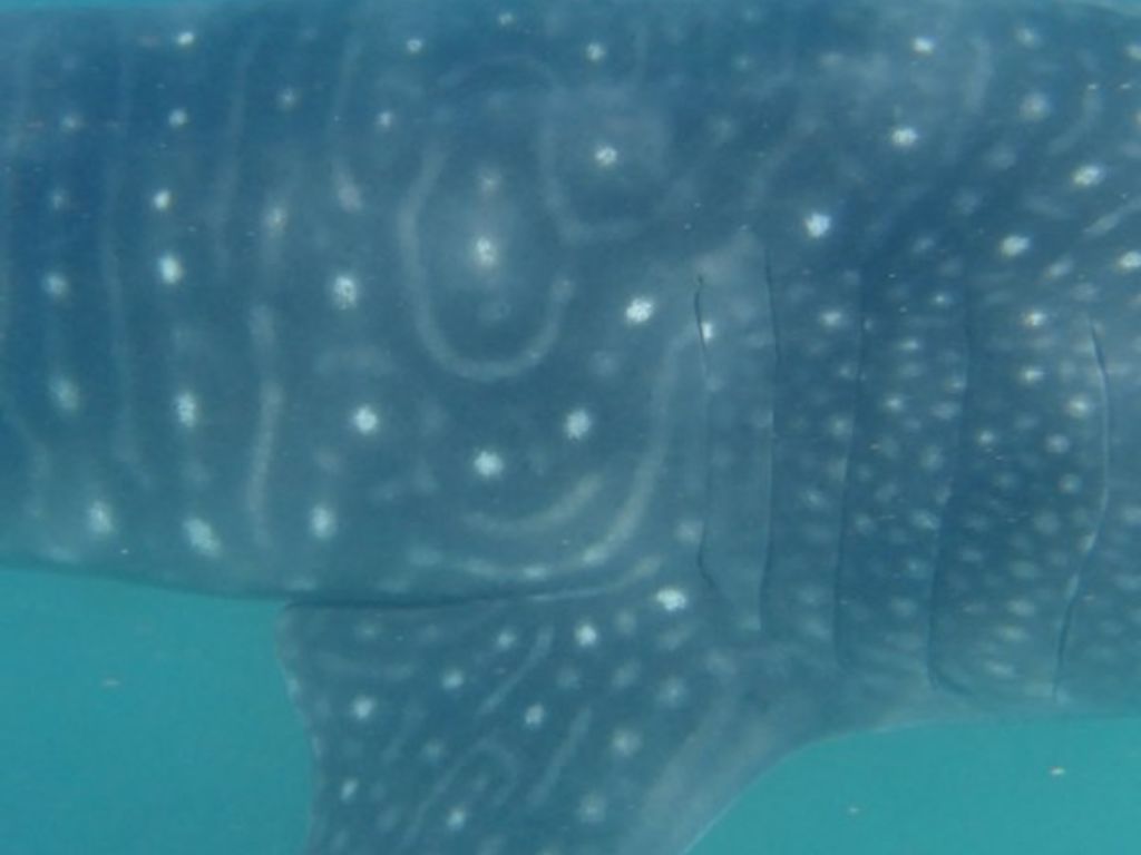 ca88d0d9-5e07-443f-a884-5f09e0e6d7fa