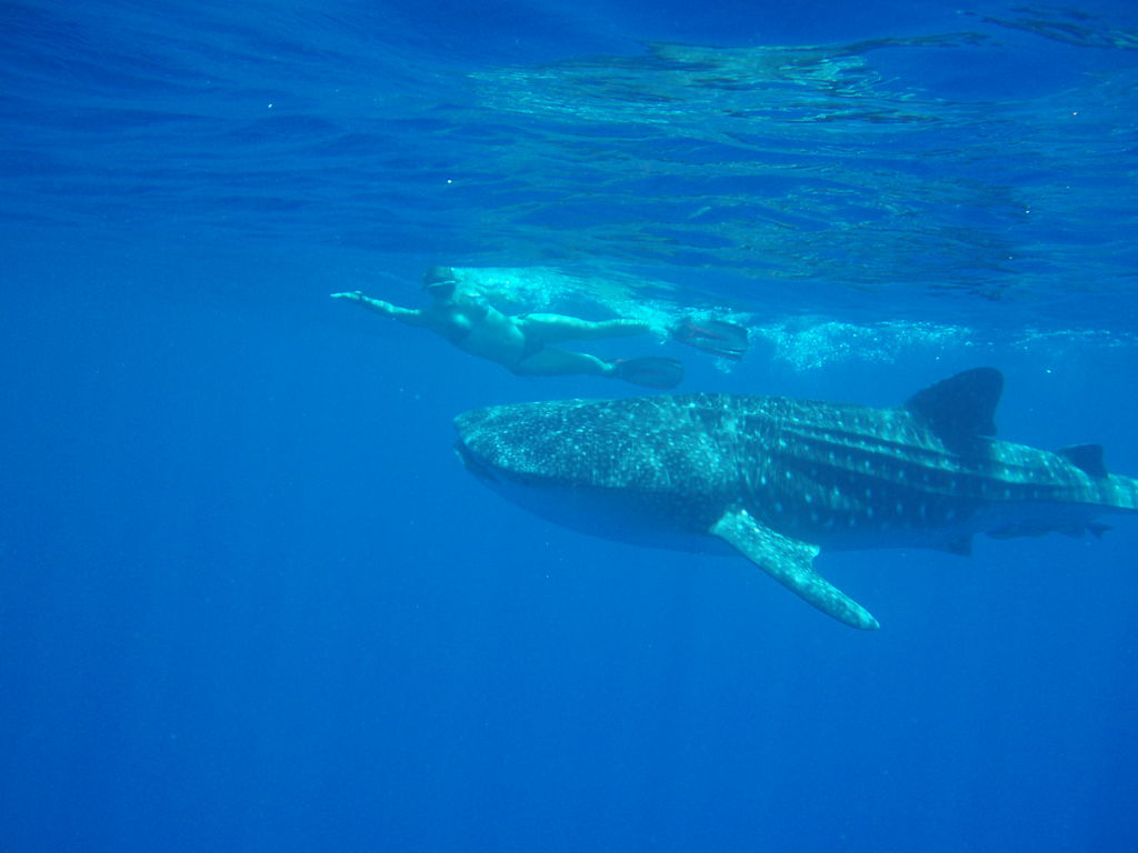 606aefdd-11d7-4bb2-a04b-a85eaa764229