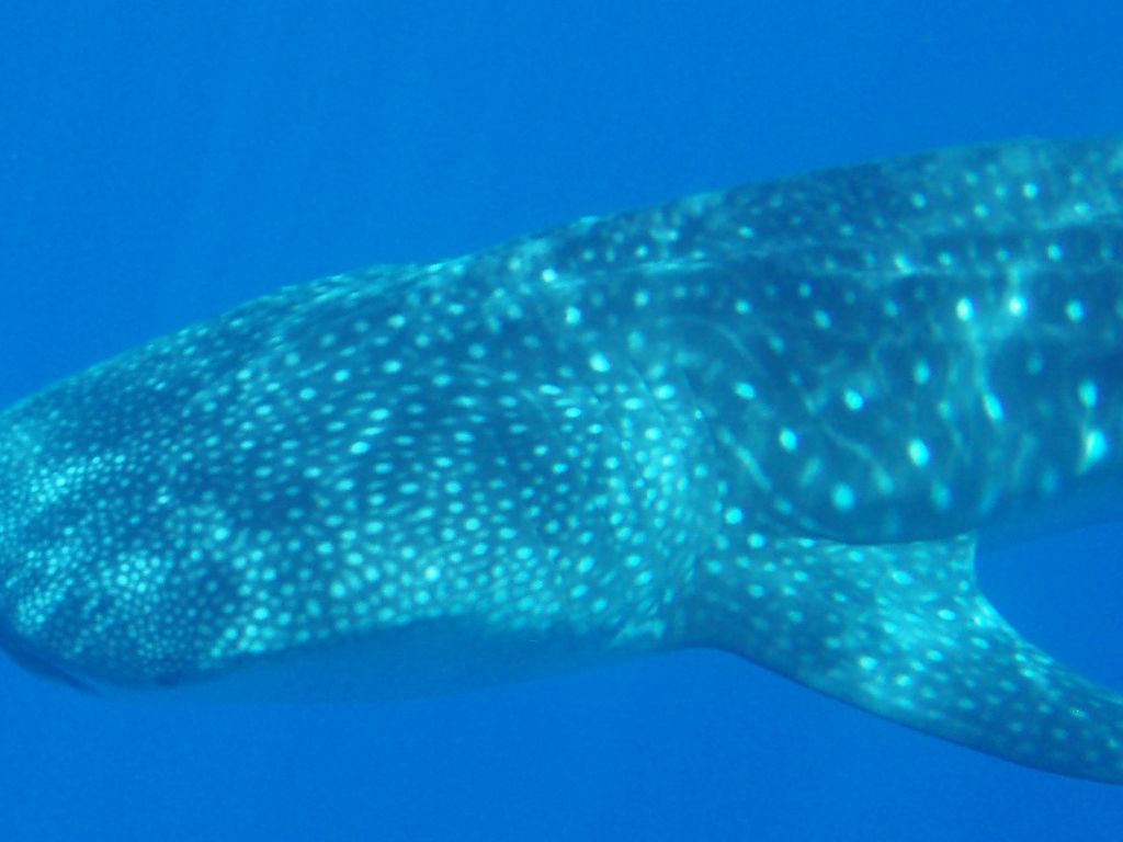 606aefdd-11d7-4bb2-a04b-a85eaa764229