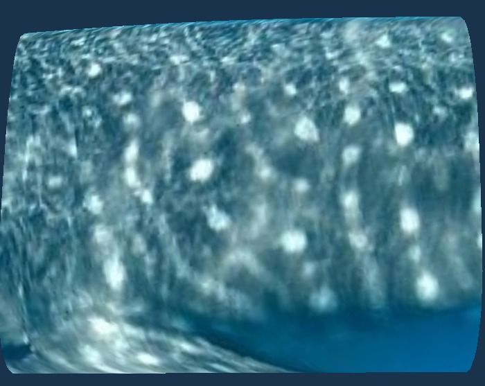 f78a51a4-51ed-41fa-837a-1d4fe103a293