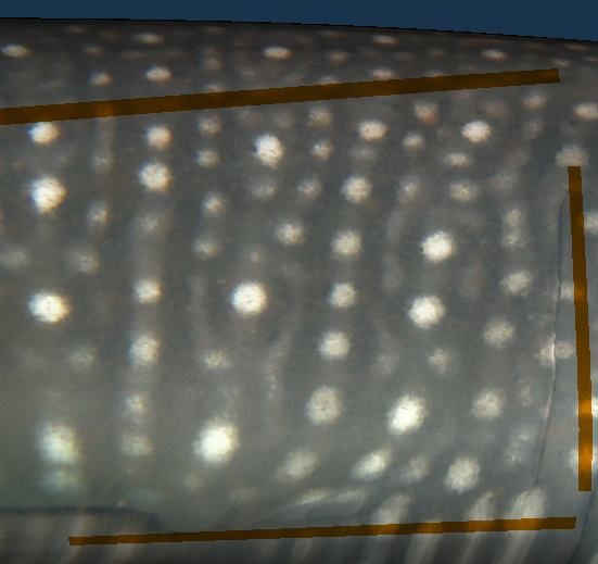 ab29edcf-f75a-4a85-b2a7-f868fa807011