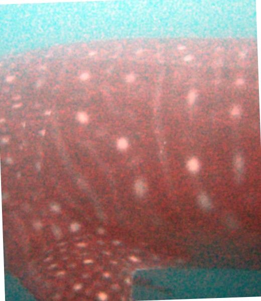 a8ebee05-9a51-461c-a870-156d3c570eaa