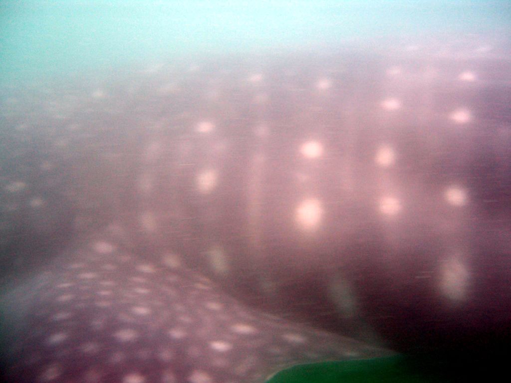 1453fb38-8abc-4155-8484-273068ea41d7