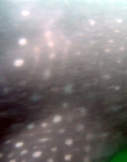 1453fb38-8abc-4155-8484-273068ea41d7