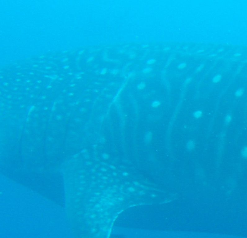 13b2b7d5-9070-4e11-a178-8bb60bf8396c