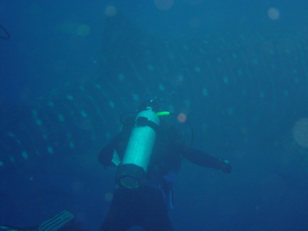 13b2b7d5-9070-4e11-a178-8bb60bf8396c