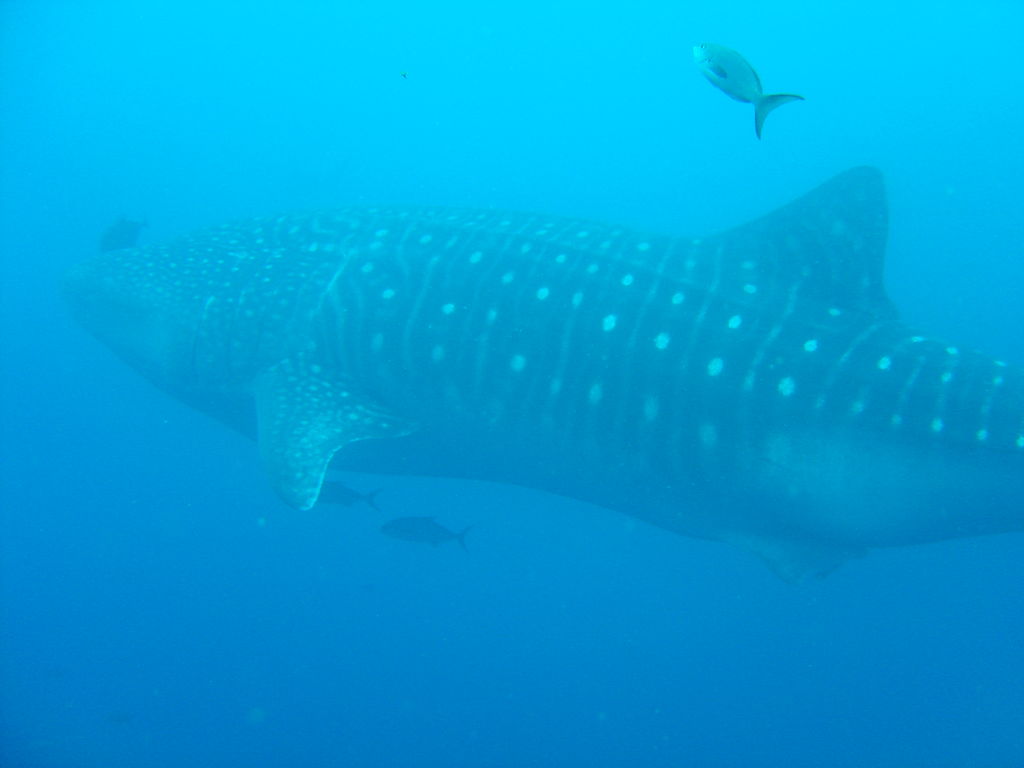 13b2b7d5-9070-4e11-a178-8bb60bf8396c