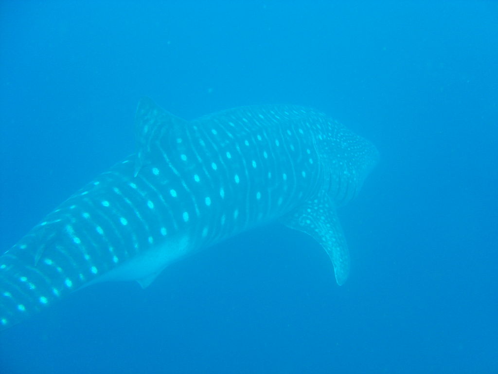 13b2b7d5-9070-4e11-a178-8bb60bf8396c