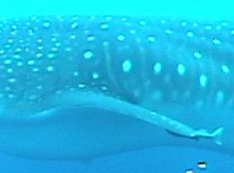 5922cd83-677c-4936-a68b-1d9299f87079