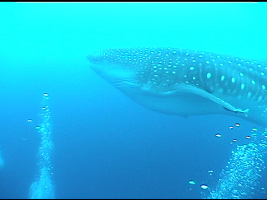 5922cd83-677c-4936-a68b-1d9299f87079