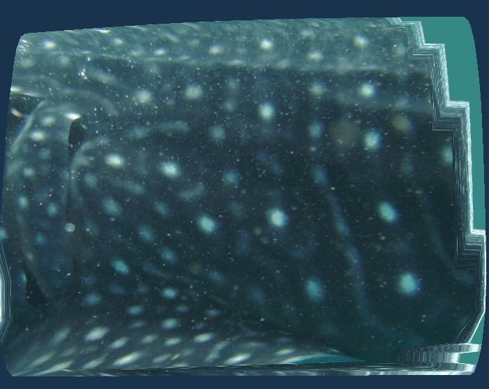 16f7cdb0-003c-42eb-aa4a-cdefb59f7acf