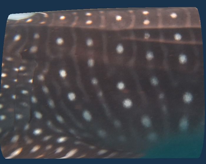 56467ced-ac27-4aca-b7fc-bb0ebc0a469c