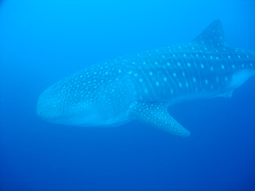 ed14b3e1-b721-42e1-aac0-3297ad3d974d