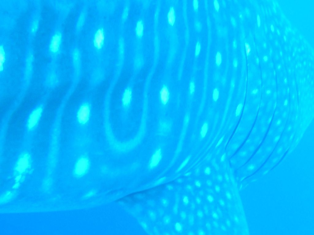 ed14b3e1-b721-42e1-aac0-3297ad3d974d