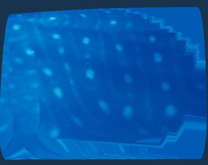 bb1094ff-2890-4031-bfa5-65971525cc4a