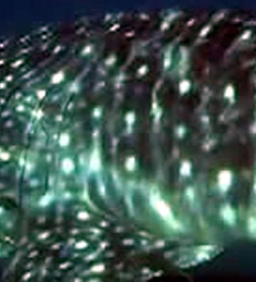 9386806f-0df3-4b84-a109-a5f7cbd1a0c4