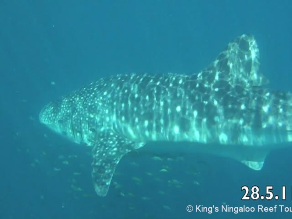 9386806f-0df3-4b84-a109-a5f7cbd1a0c4